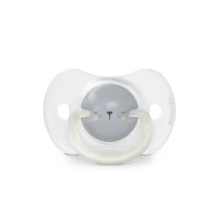 Lot de 2 sucettes phosphorescentes SX Pro 0/6M Night&Day